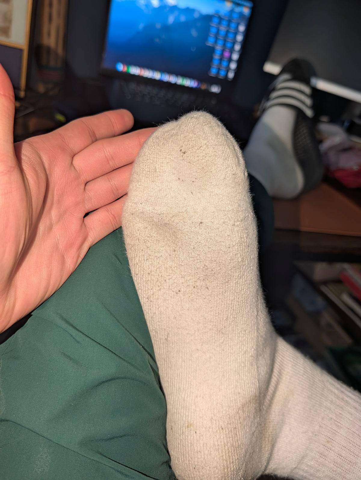 Vans Socks - 5 days